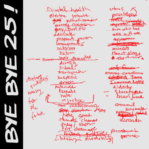 BYE BYE 25! album art