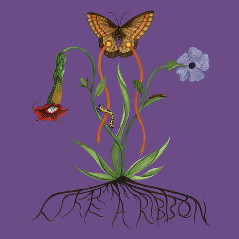 Fly With Me album art