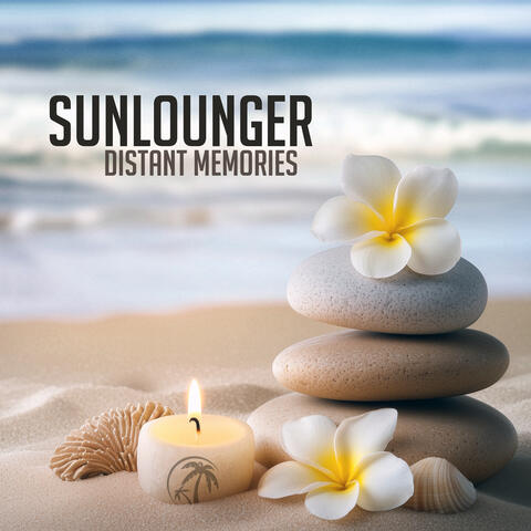 Distant Memories album art