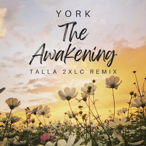 The Awakening album art