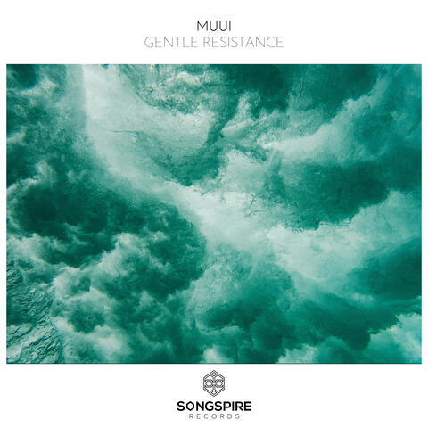 Gentle Resistance album art