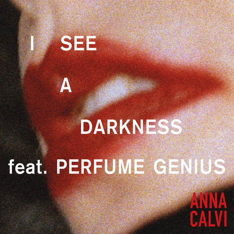 I See A Darkness album art