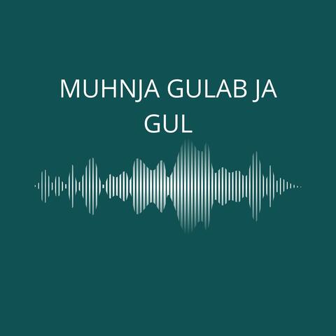 Muhnja Gulab Ja Gul album art