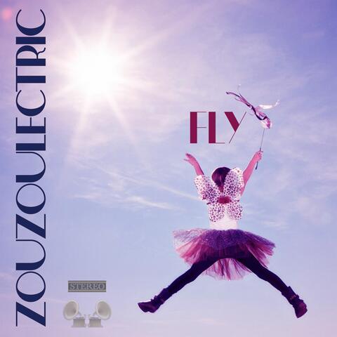 Fly album art