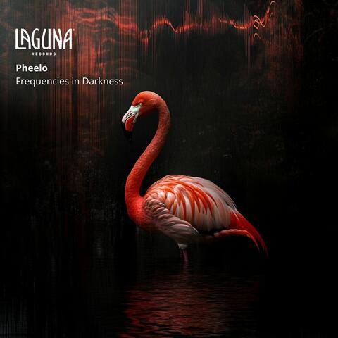Frequencies in Darkness album art