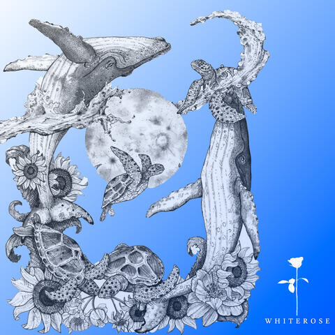 Rabbit Hole album art