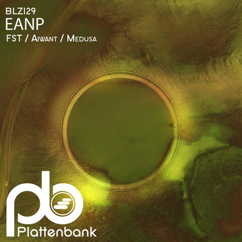 FST / Aiwant / Medusa album art