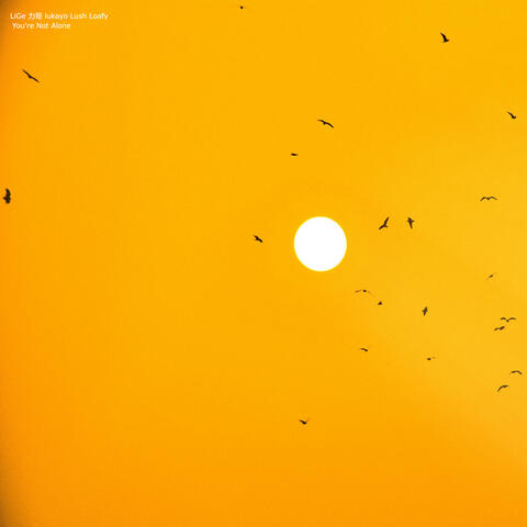 You're Not Alone album art