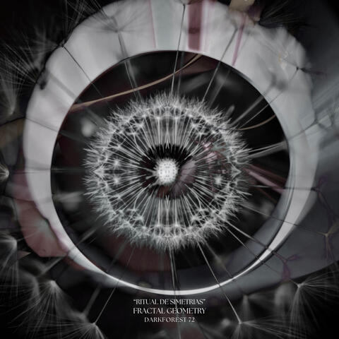 Ritual de Simetrias album art