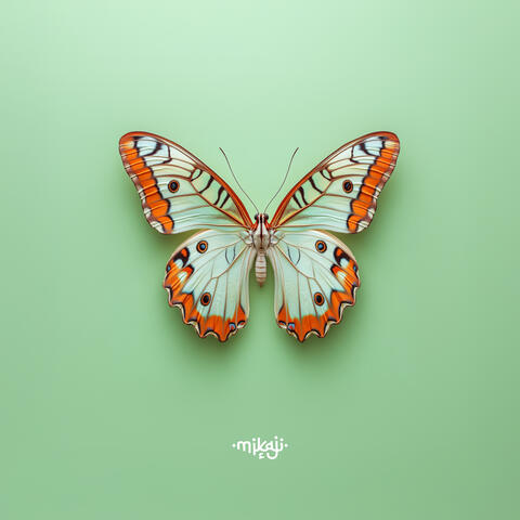 Mariposa album art
