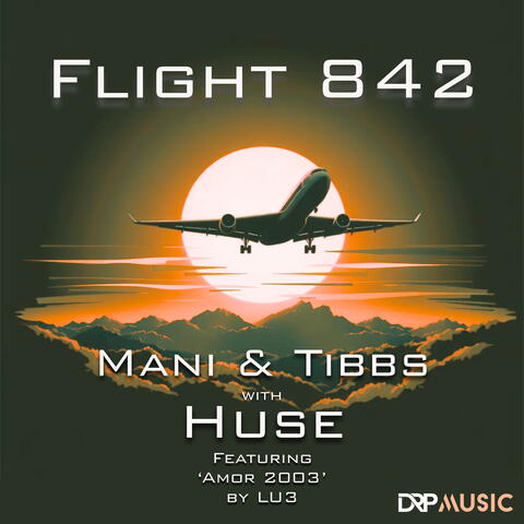 Flight 842 / Amor 2003 album art