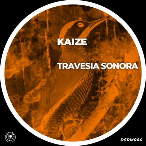 Travesia Sonora album art