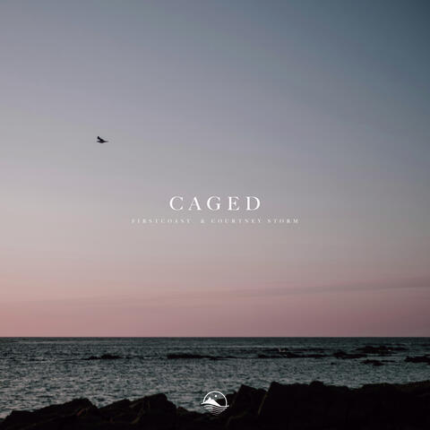 Caged album art