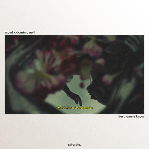 I Just Wanna Know album art