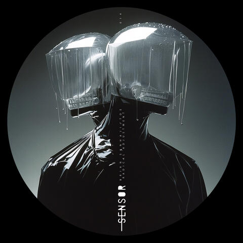 Radical Adjustment album art