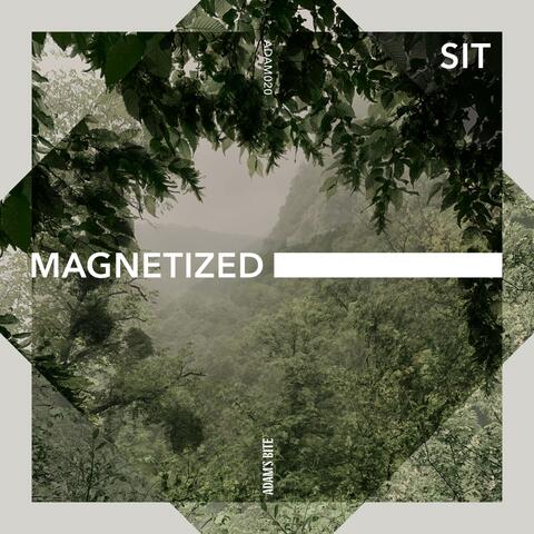 Magnetized album art