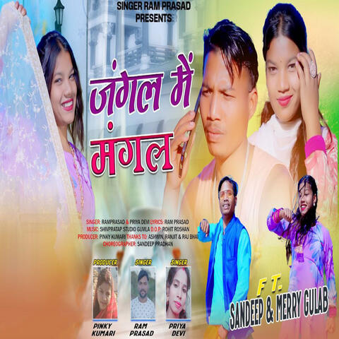 Jangal Me Mangal album art