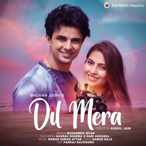 Dil Mera album art