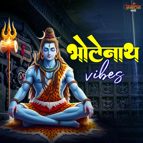 Bholenath Vibes album art