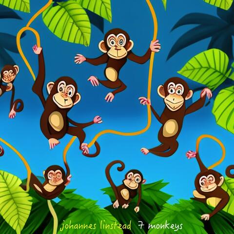 7 Monkeys album art