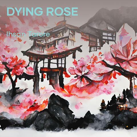 Dying Rose album art