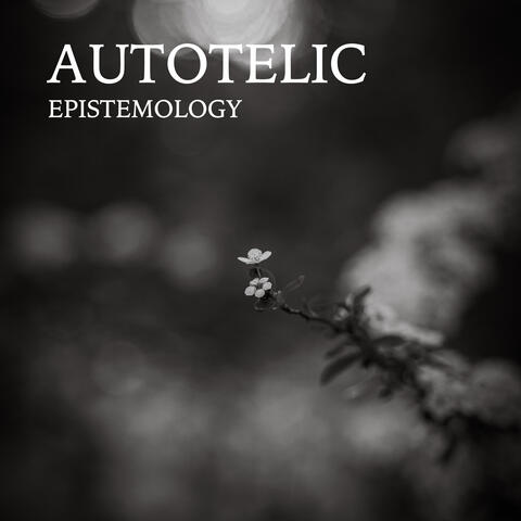 Epistemology album art