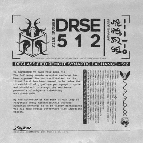 Declassified Remote Synaptic Exchange: DRSE 512 album art