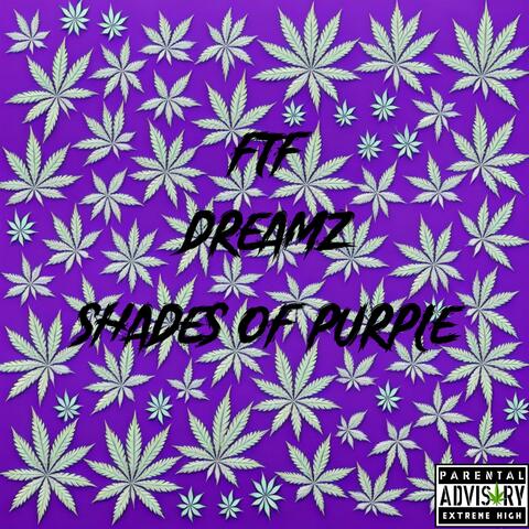 Shades Of Purple album art
