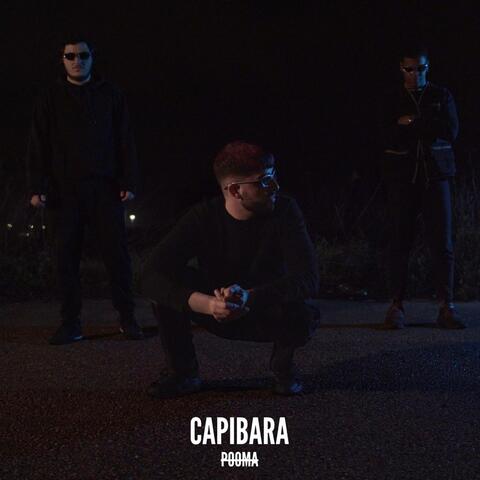 CAPIBARA album art