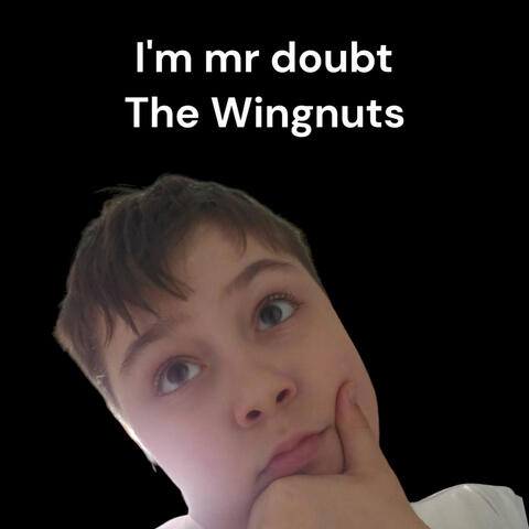 I'm Mr Doubt album art