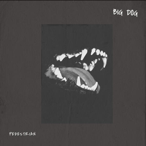 BIG DOG album art