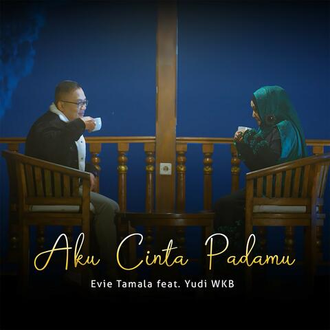 Aku Cinta Padamu album art