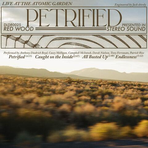 Petrified album art