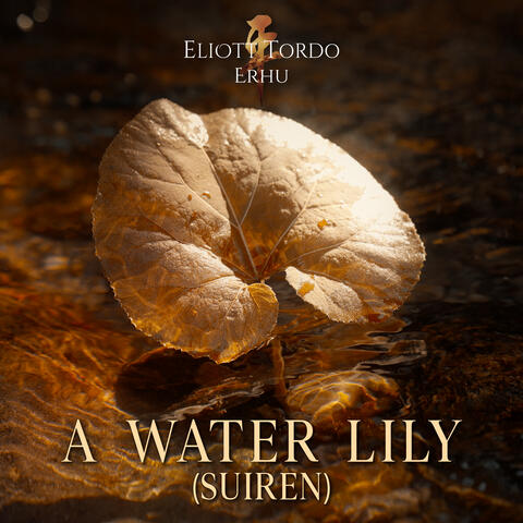 A Water Lily (Suiren) album art