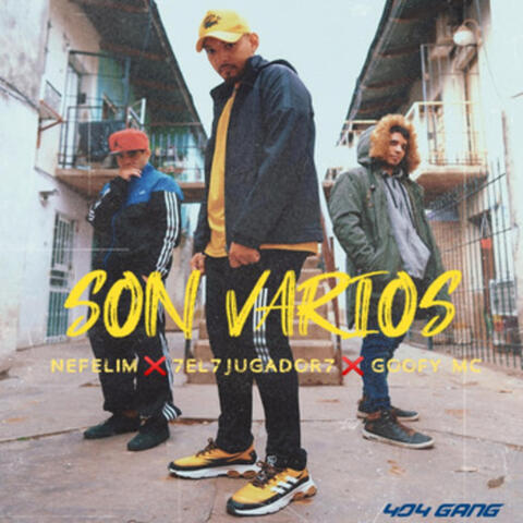 SON VARIOS album art