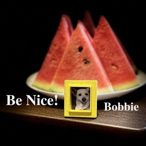 Be Nice! album art