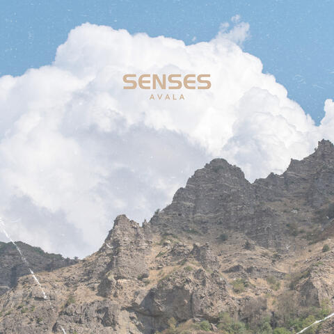 Senses album art