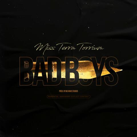 Bad Boys album art