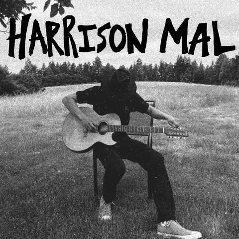 Harrison Mal album art