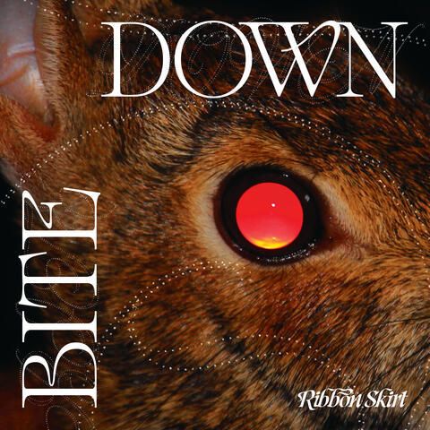 Bite Down album art