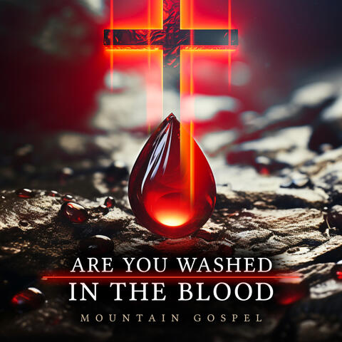Are You Washed In The Blood album art