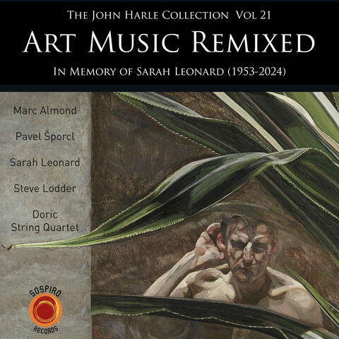 The John Harle Collection, Vol. 21: Art Music Remixed album art