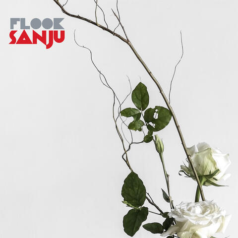 Sanju album art