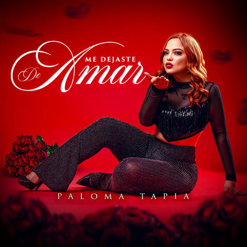 Me Dejaste De Amar album art