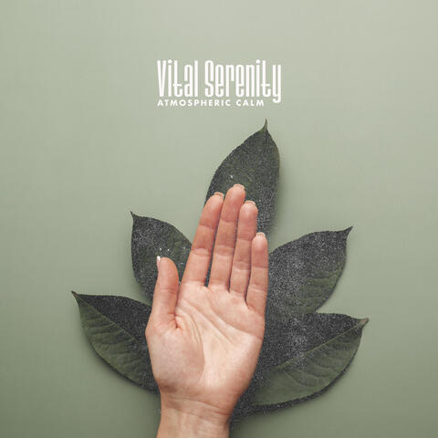 Vital Serenity album art