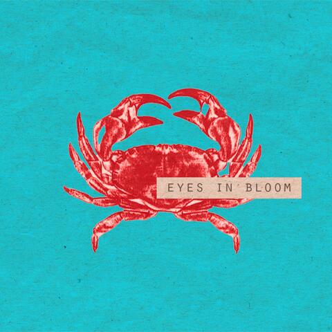 Eyes In Bloom album art