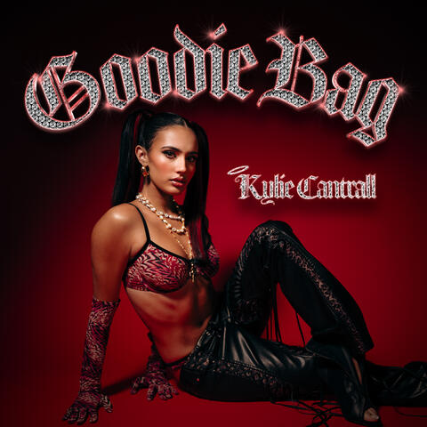 Goodie Bag album art