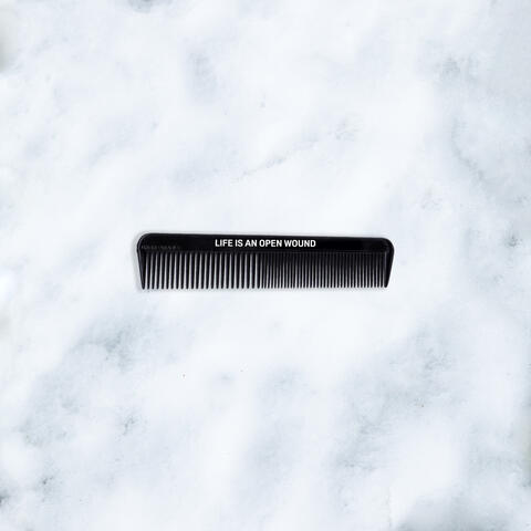 Life Is An Open Wound album art