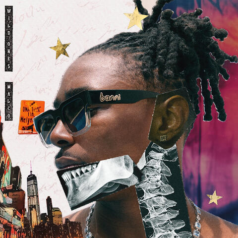 Wild Ones album art