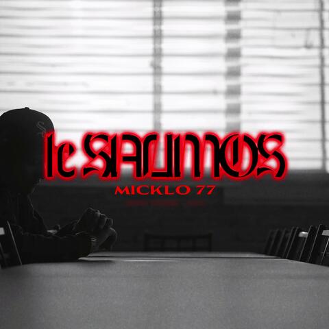 Le Salimos album art